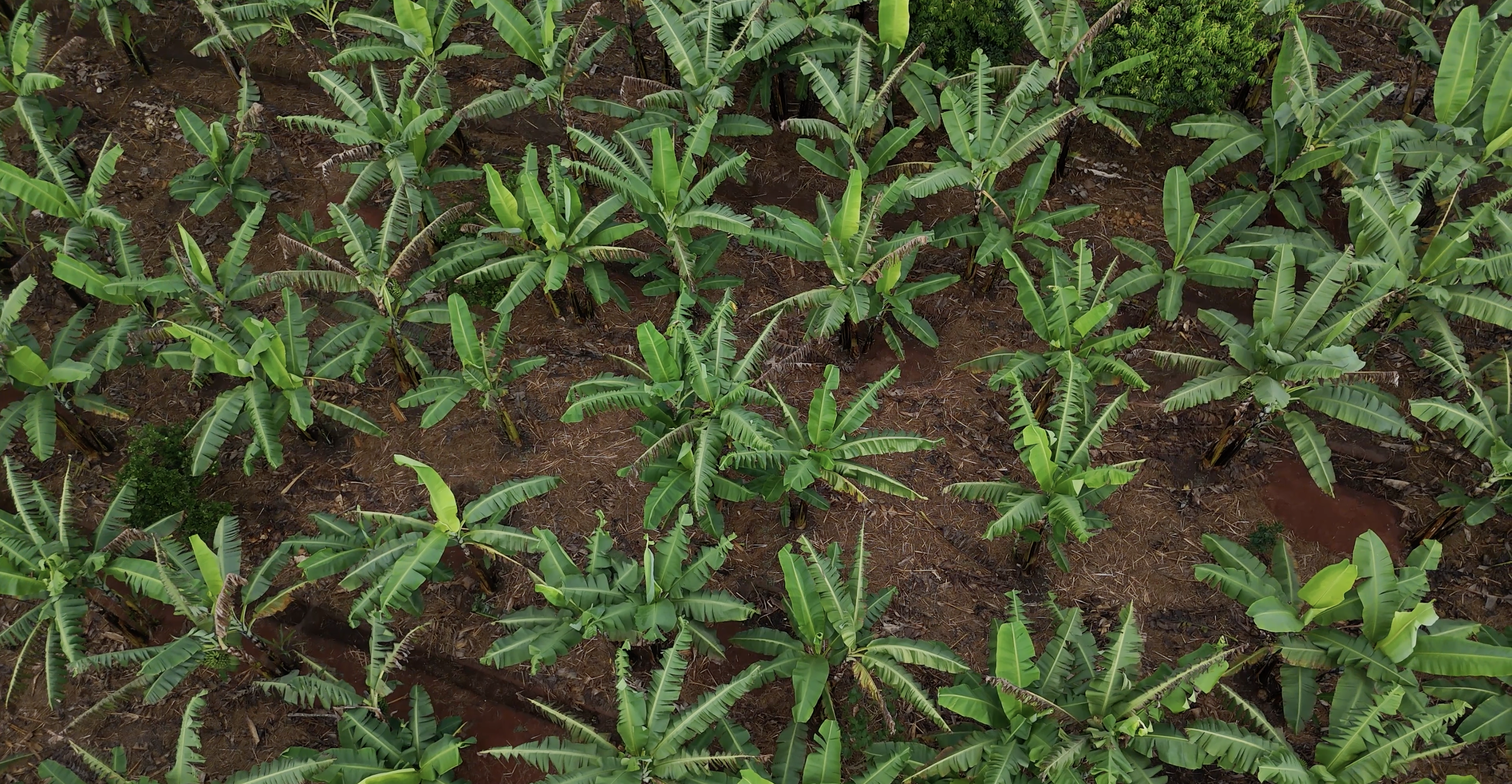 Heritage Farm experience